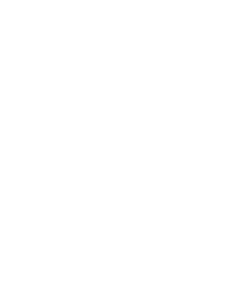 Logo mini dark